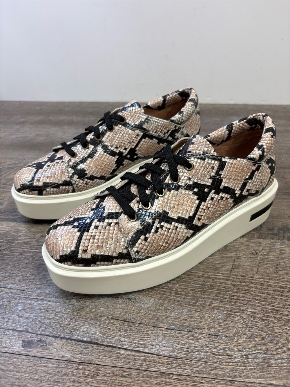 Linea Paolo Platform Sneakers Snake Print Size 9